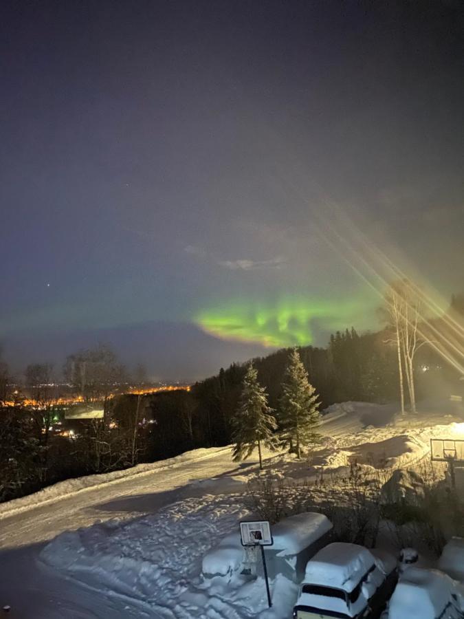 Alaskan Adventure Awaits! Eagle River Esterno foto